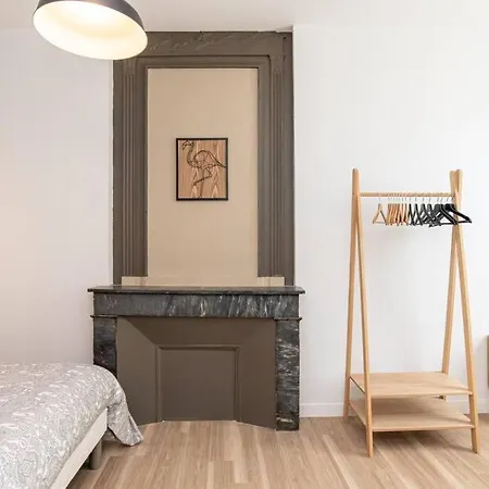 Appartement Le Dandy - T2 Centre Historique Agen